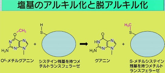 20140605-111159.jpg