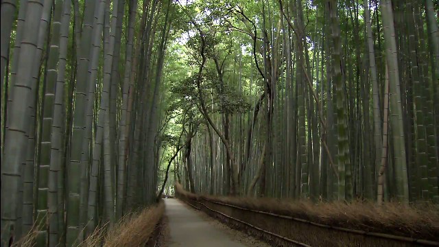 20140616-211049.jpg