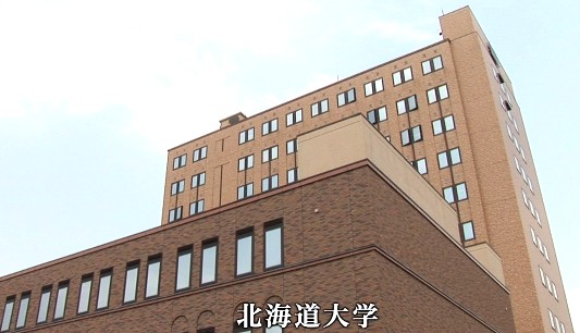 20140629-121836.jpeg