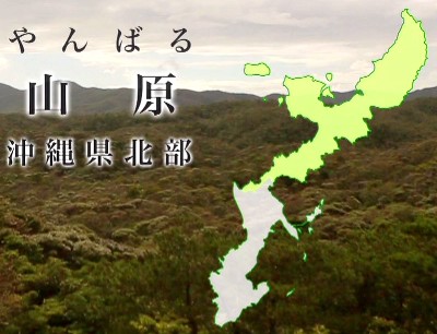 20140714-084321.jpeg