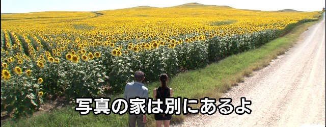 20140717-005430.jpg