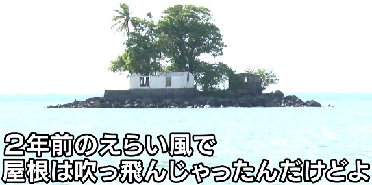 20140717-011733.jpg