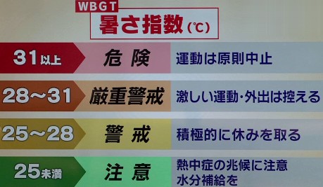 20140723-174216.jpg