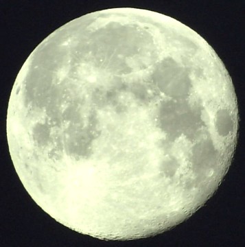 20140725-014337.jpg