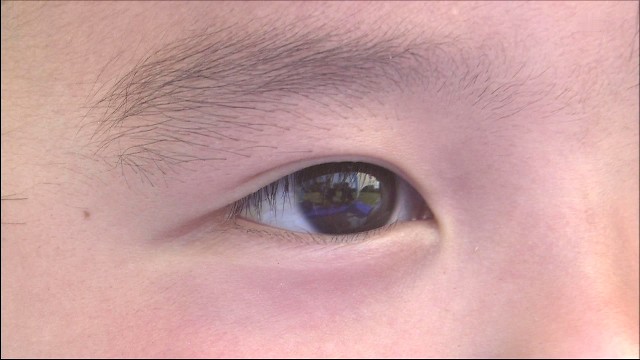 20140806-132519.jpg