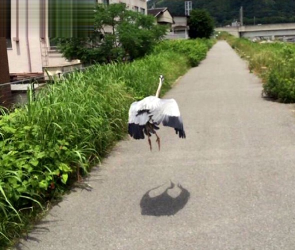 20140807-235950.jpeg