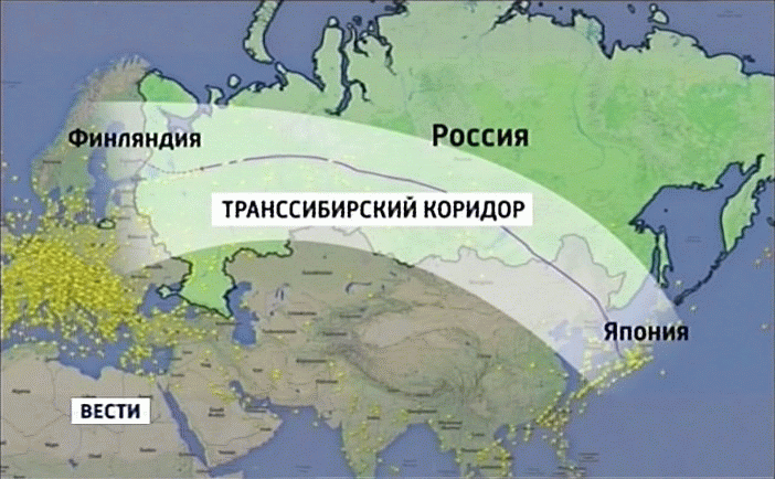 20140808-074612.gif