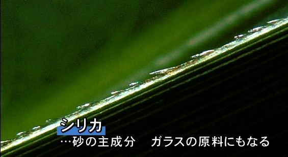 20140819-192403.jpg