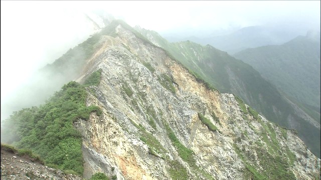 20140820-104026.jpg