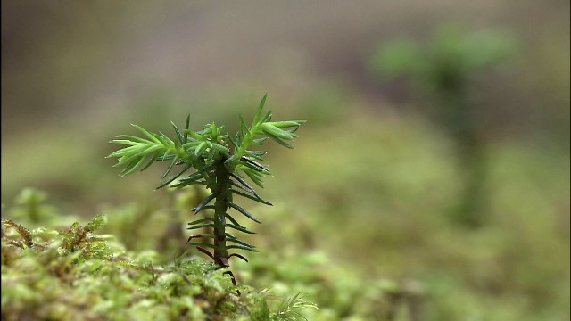 20140820-105221.jpg