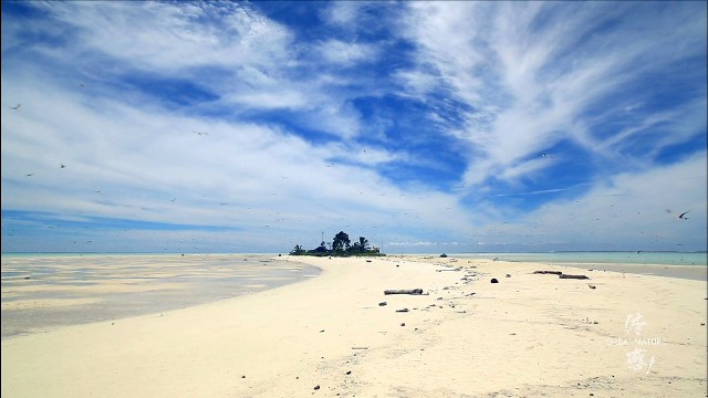 20140828-182120.jpg