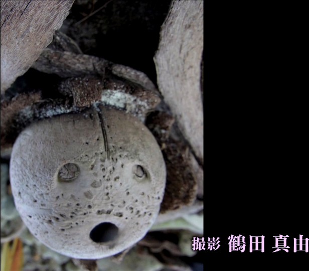 20140830-204902.jpg